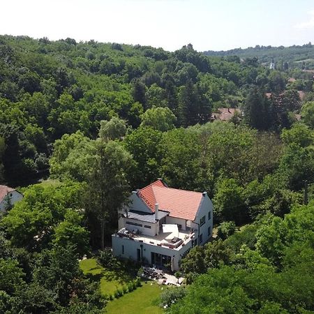 Villa Viridis Buekkalja Borsodgeszt Εξωτερικό φωτογραφία