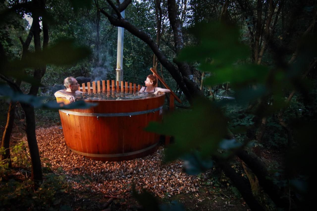 Villa Viridis Buekkalja Borsodgeszt Εξωτερικό φωτογραφία