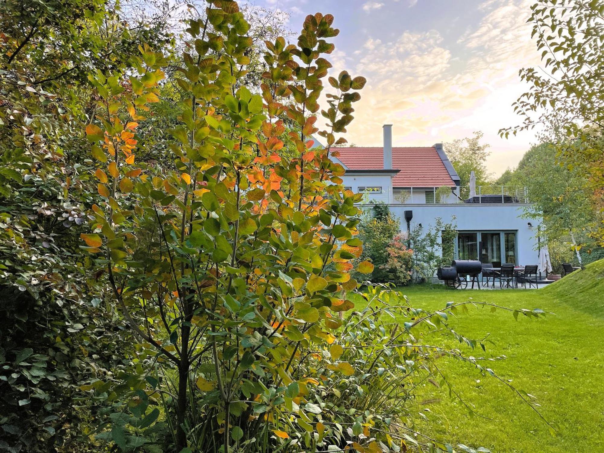 Villa Viridis Buekkalja Borsodgeszt Εξωτερικό φωτογραφία